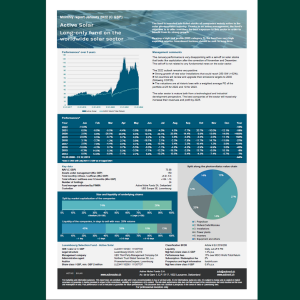 Factsheet: Active Solar December 2024 C USD